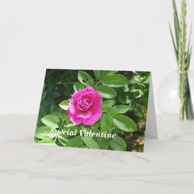 Valentine Rose for Someone Special Holiday Card (Front)