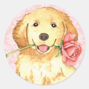 Valentine Rose Golden Retriever Classic Round Sticker