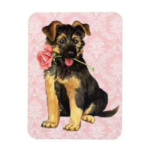 Valentine Rose GSD Magnet