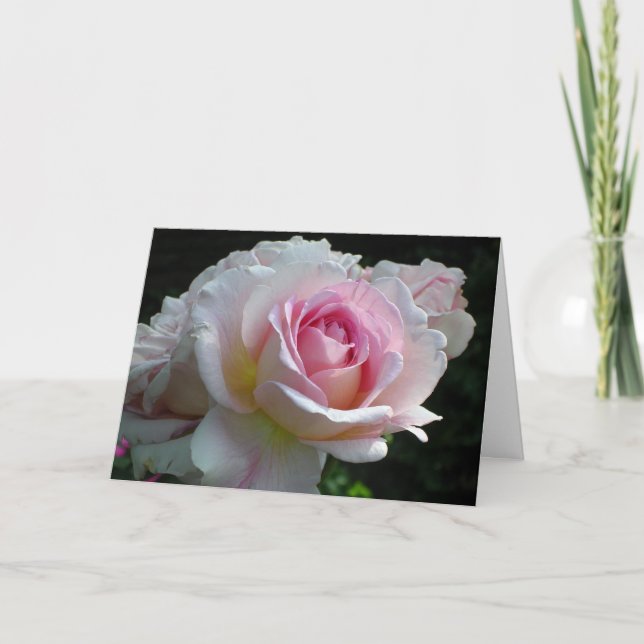 Valentine Rose Holiday Card (Front)