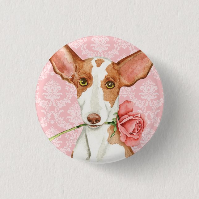 Valentine Rose Ibizan Hound 3 Cm Round Badge (Front)