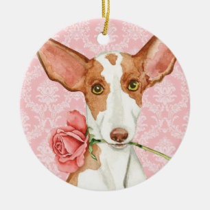 Valentine Rose Ibizan Hound Ceramic Tree Decoration