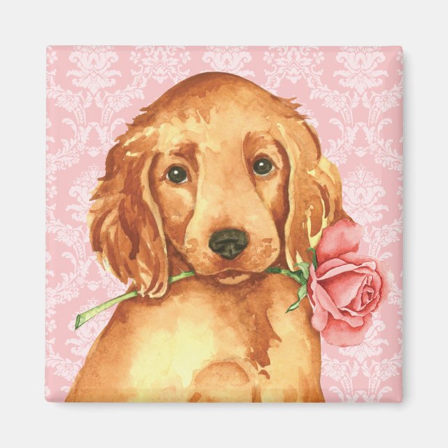 Valentine Rose Irish Setter Magnet (Front)
