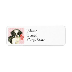 Valentine Rose Japanese Chin