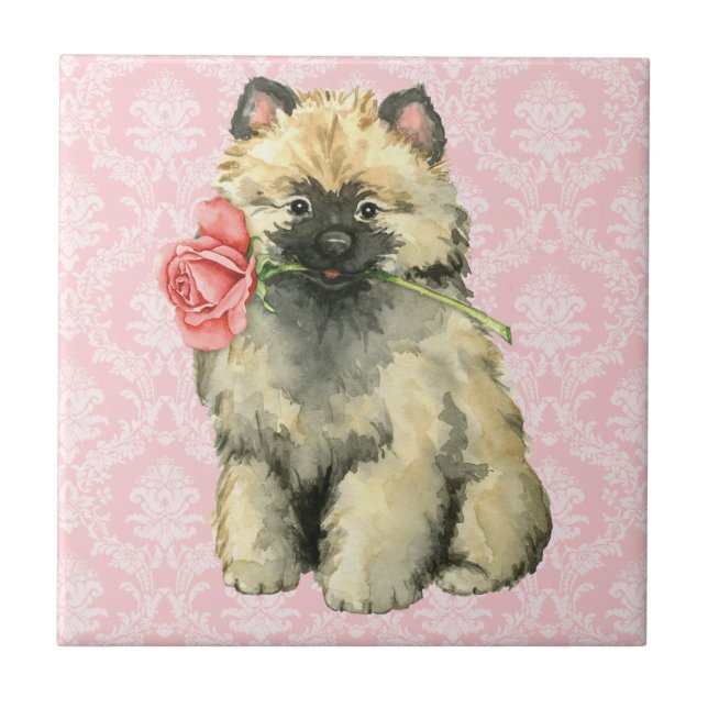 Valentine Rose Keeshond Tile (Front)