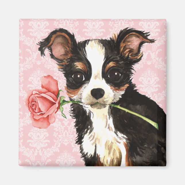 Valentine Rose Long Coat Chihuahua Magnet (Front)