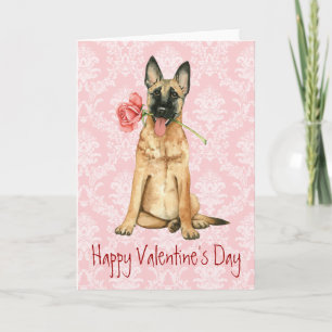 Valentine Rose Malinois Holiday Card