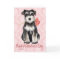 Valentine Rose Mini Schnauzer