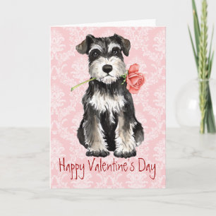 Valentine Rose Mini Schnauzer Holiday Card