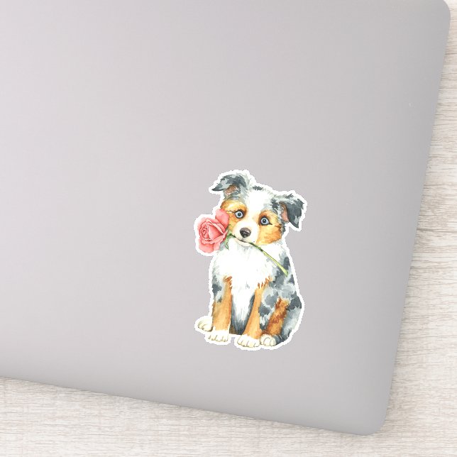 Valentine Rose Miniature American Shepherd Vinyl (Detail)