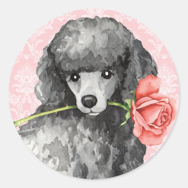 Valentine Rose Miniature Poodle Classic Round Sticker (Front)