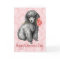 Valentine Rose Miniature Poodle