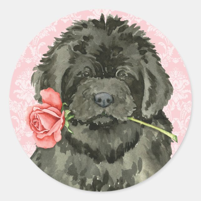 Valentine Rose Newfoundland Classic Round Sticker (Front)