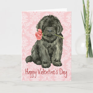 Valentine Rose Newfoundland Holiday Card