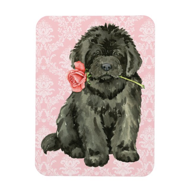 Valentine Rose Newfoundland Magnet (Vertical)