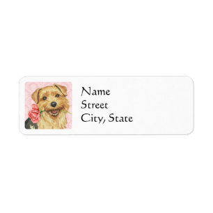 Valentine Rose Norfolk Terrier