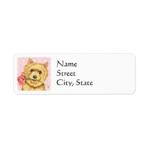 Valentine Rose Norwich Terrier