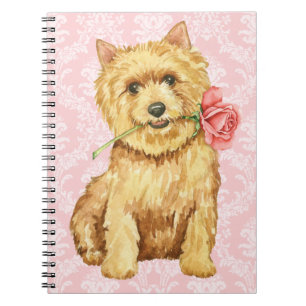 Valentine Rose Norwich Terrier Notebook