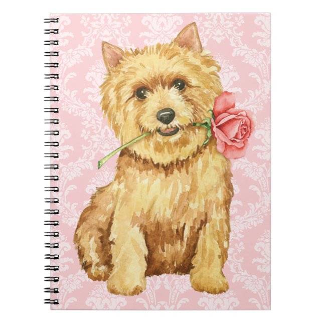 Valentine Rose Norwich Terrier Notebook (Front)