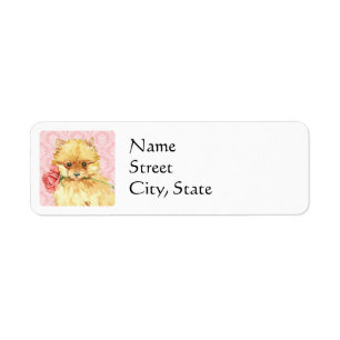 Valentine Rose Pomeranian
