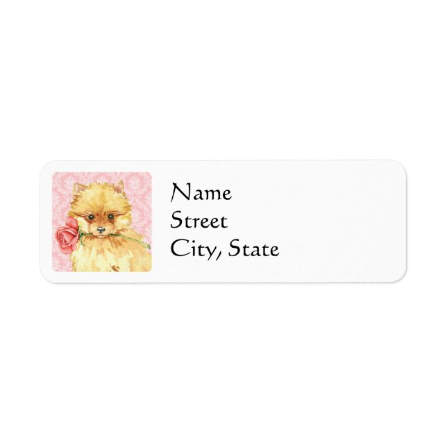 Valentine Rose Pomeranian (Front)