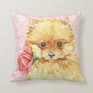 Valentine Rose Pomeranian Cushion
