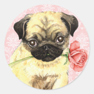 Valentine Rose Pug Classic Round Sticker