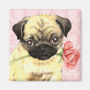 Valentine Rose Pug Magnet