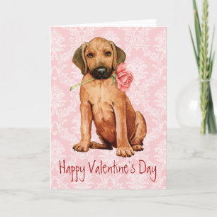 Valentine Rose Rhodesian Ridgeback Holiday Card