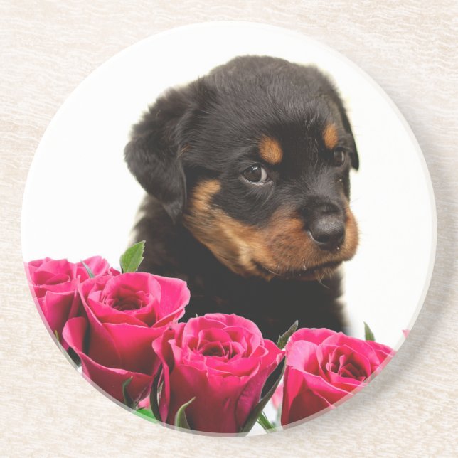 Valentine Rose Rottweiler Puppy Coaster (Front)