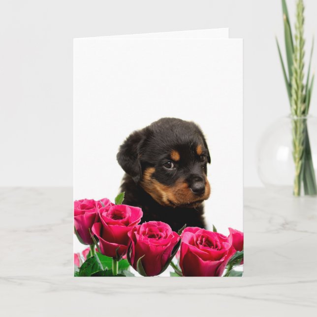 Valentine Rose Rottweiler Puppy Holiday Card (Front)