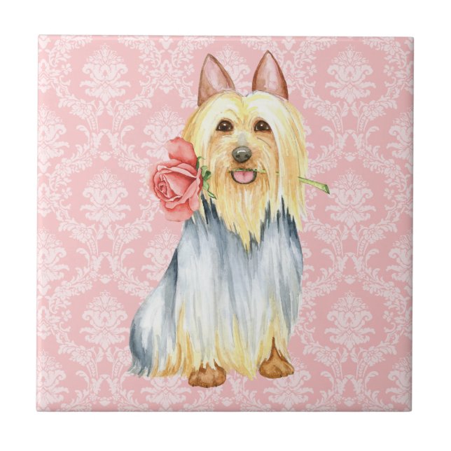 Valentine Rose Silky Terrier Tile (Front)