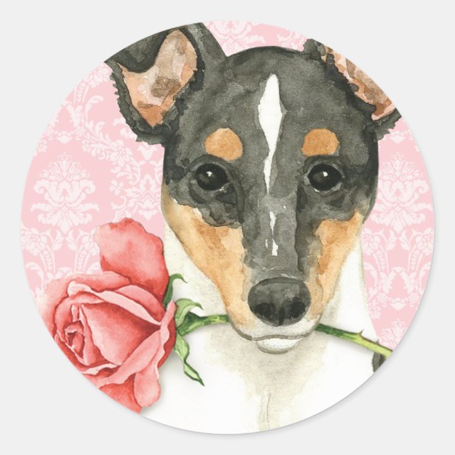 Valentine Rose Smooth Collie Classic Round Sticker (Front)