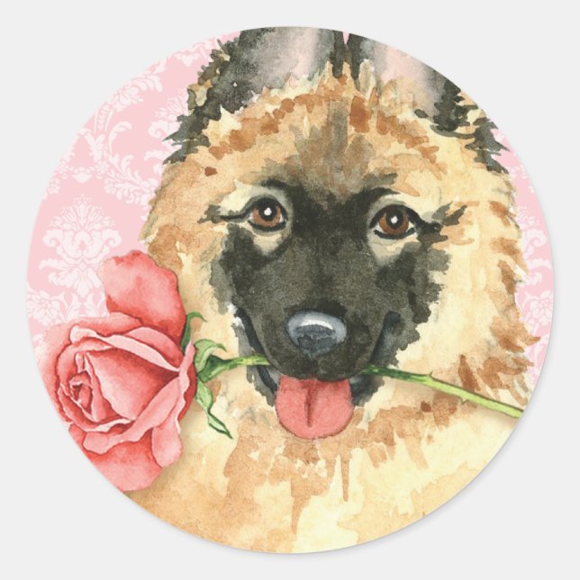 Valentine Rose Tervuren Classic Round Sticker (Front)