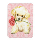 Valentine Rose Toy Poodle