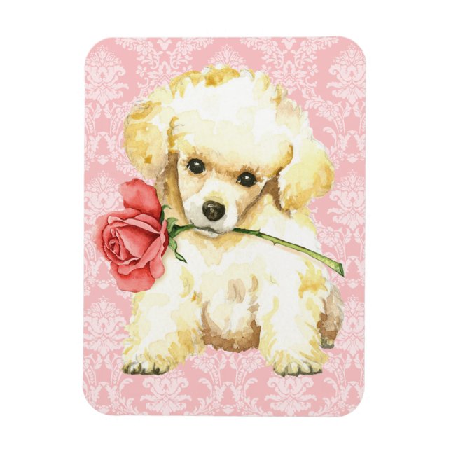 Valentine Rose Toy Poodle Magnet (Vertical)