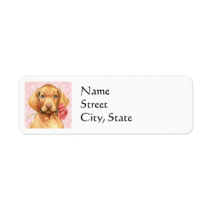 Valentine Rose Vizsla