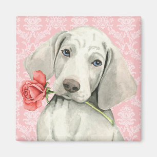 Valentine Rose Weimaraner Magnet