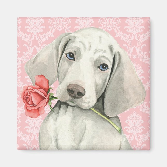 Valentine Rose Weimaraner Magnet (Front)