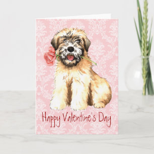 Valentine Rose Wheaten Holiday Card