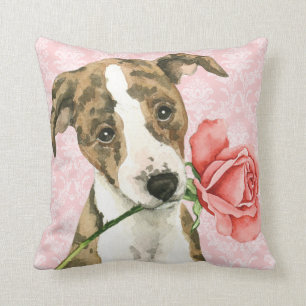 Valentine Rose Whippet Cushion