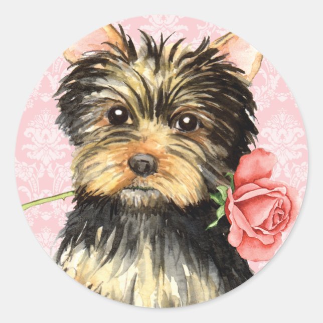 Valentine Rose Yorkie Classic Round Sticker (Front)