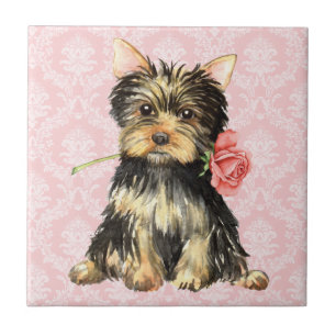 Valentine Rose Yorkie Tile