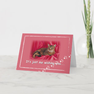 Valentine’s Day From Cat, Paw Prints on Pink Holiday Card