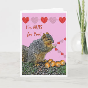 Valentine Squirrel, I'm Nuts for You Holiday Card