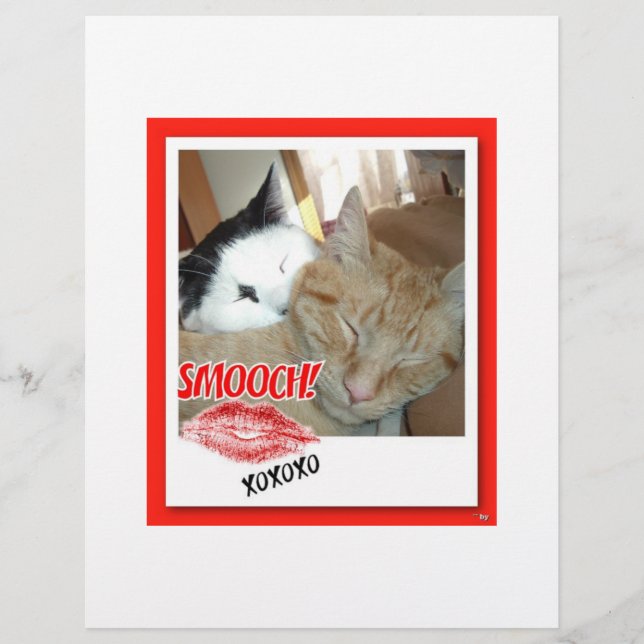 Valentine Tabby Cats Flyer (Front)