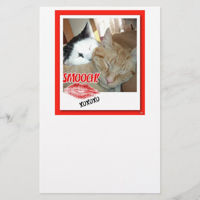 Valentine Tabby Cats Stationery (Front)