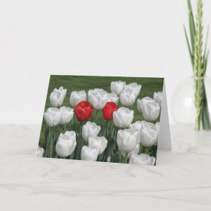 Valentine Tulips Holiday Card