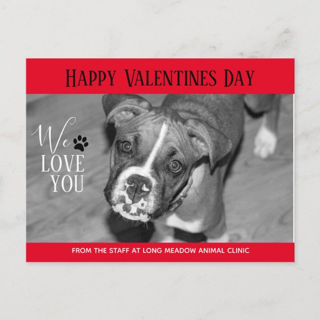 Valentine Veterinary Holiday Cards (Front)