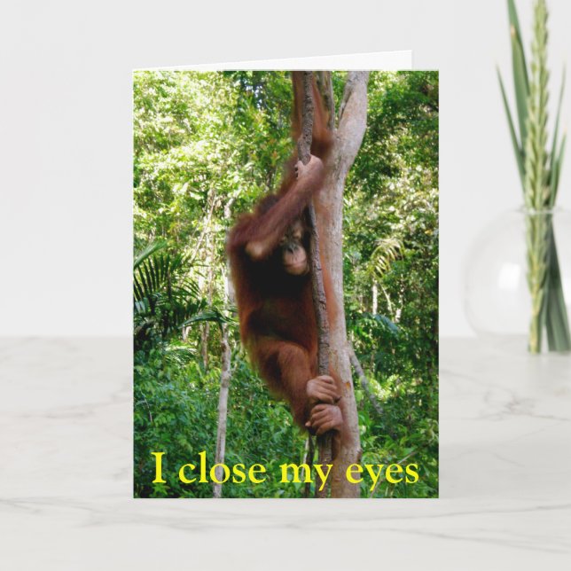 Valentine Wildlife Holiday Card (Front)